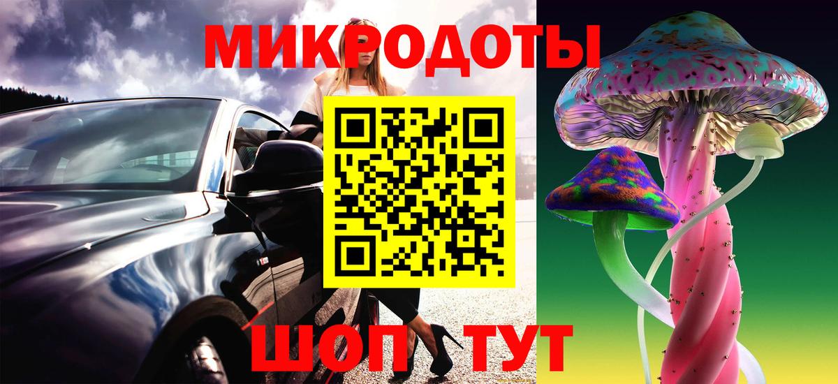 Псилоцибиновые грибы Psilocybine cubensis Зеленокумск