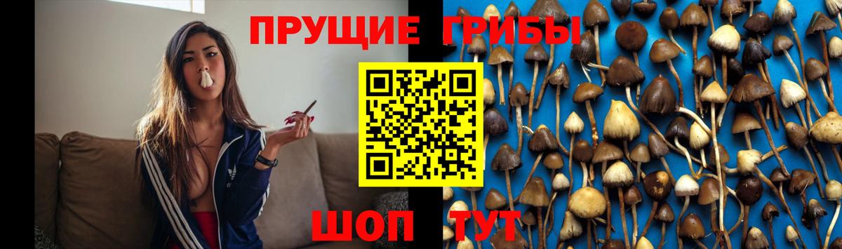 Псилоцибиновые грибы GOLDEN TEACHER  Вход с VPN  Псилоцибиновые грибы мухоморы  Зеленокумск 